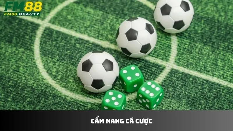 Tips các cẩm nang cá cược hay ho tại FM88